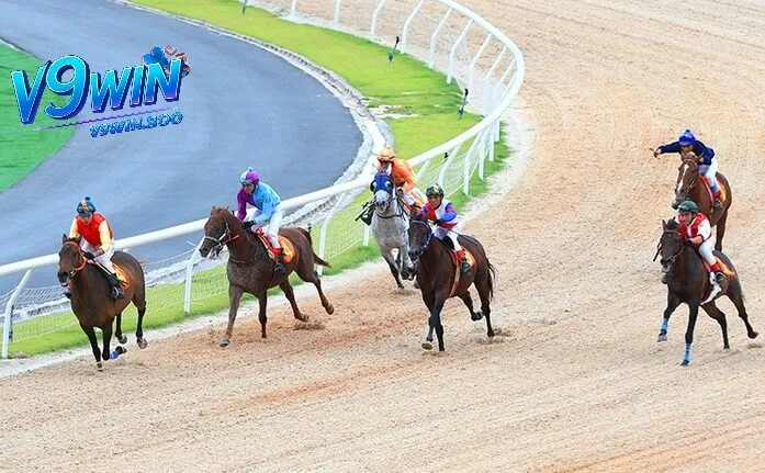 Chiến lược và mẹo cá cược đua ngựa tại V9win
