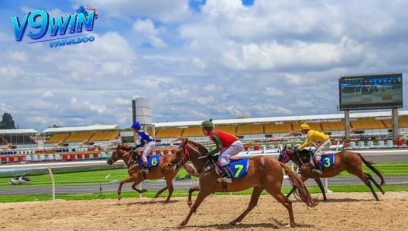 Giới thiệu về đua ngựa và v9win